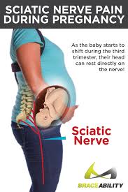 Pin On Pregnacy