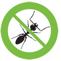 Talking about the house, nowadays, it cannot be separated from what we called as termite inspection treatment. Northern Beaches Pest Control Termite Inspections Fast Service
