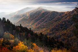 Explore the best info now. Great Smoky Mountains Guide Planning Your Trip