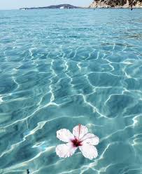 See more ideas about outfits, fashion outfits, fashion. Summer Aesthetic Wallpaper Iphone Hintergrundbild Nawpic