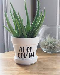 Aloe Govna Funny Plant Pot Plant Pun Plant Holder Funny Etsy Plant Pot Diy Plants Aloe Plant