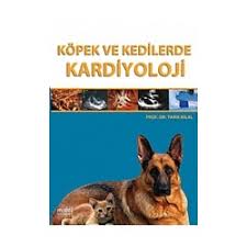 Turkce Kopek Dili Kopek Dili Turkce Sozluk