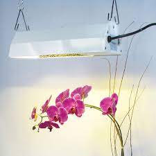 Yet very potent (putting out a rated 16,000 lumens with the included 150w hps bulb). Amazon Com Sun System Grow Lights Hps 150w Complete System With Ultra Sun Lamp Hps Plug And Play Grow Lamp For Hydroponics And Greenhouse Use Garden Outdoor