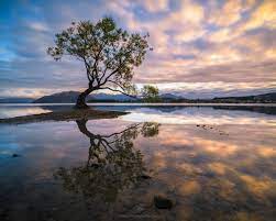 Reflection definition, the act of reflecting, as in casting back a light or heat, mirroring, or giving back or showing an image; View From The Top Time For Reflection And Inspiration