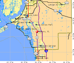 In 2019, the village's estimated population was 33,871. Estero Florida Fl Profile Population Maps Real Estate Averages Homes Statistics Relocation Travel Jobs Hospitals Schools Crime Moving Houses News Sex Offenders