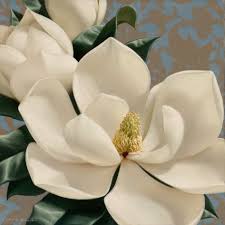 Dolce Magnolia Flower Art Flower Painting Floral Art