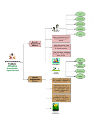 Pin On Science Rules