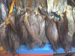 Gulai pisang ikan masin mematangkan ipin menjadi lebih baik hari ini. Ikan Kering Wikipedia Bahasa Melayu Ensiklopedia Bebas