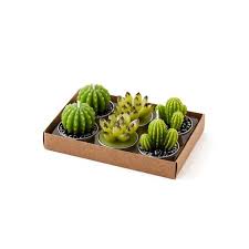 2020 popular 1 trends in home & garden, education & office supplies, beauty & health, lights & lighting with cactus flower plastic and 1. Flowering Cactus Tea Light Candles Set Of 6 Phoenix Art Museum