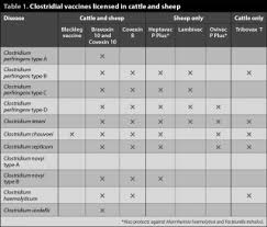 Clostridium perfringens is the second or third cause of reported foodborne disease outbreaks, and most of the outbreaks occur in collective restaurants. Https Www Vettimes Co Uk App Uploads Wp Post To Pdf Enhanced Cache 1 Diversification Of Clostridial Conditions In Cattle And Sheep Pdf
