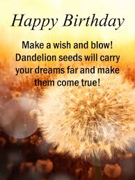 This is to make sure that the text in your birthday card is displayed correctly. Make A Wish Happy Birthday Card Birthday Greeting Cards By Davia