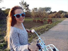 Watching The Free Horses On My Miss Grace Gazelle Bike In Wijk Aan Zee D Beautiful Bike Fashion Heart Sunglass