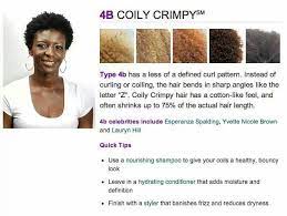 Pin By Ashley Cruse On Natural Hair Care And Styles Natural Hair Types Natural Hair Styles Hair Type