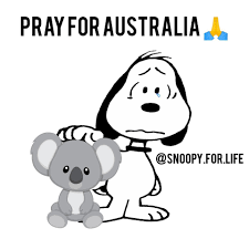 Pray For Australia In 2020 Snoopy Pictures Snoopy Snoopy Love