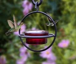 The ribbed glass shinning in the sunshine, attracts hummingbirds to your yard. Monarch Abode Circular Hummingbird Feeder Red Glass Feeder With Perc