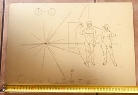 Image result for pioneer plaque