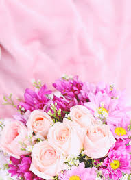 We did not find results for: Flowers Chelmsford Cm1 Send Fresh Flowers