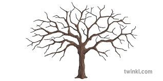Cherry blossom drawing cherry blossom tree blossom trees cherry drawing cherry blossom outline blossom flower japanese blossom our cherry blossom stencil displays a lovely flowering branch adorned with blooms. Cherry Blossom Tree Template Oggetto Artigianato Giappone Temi Ks2