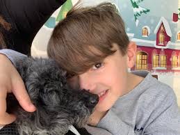 Profile for Willow's Vanlife