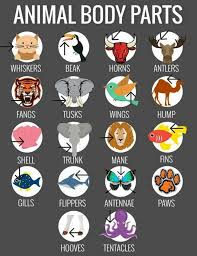 Vocabulary 1 English Vocabulary Words English Language Teaching Learn English Vocabulary