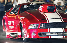 FEATURES- SNAKE HANDLER