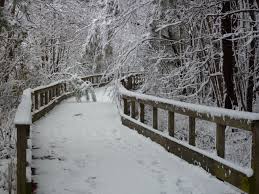 Yes It Can Snow In Wilmington Nc Nature Pictures Wilmington Nature