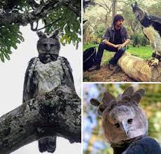 Thème le monde des félins (1ère série) a voir catégorie : Blogues A Rencontrez L Aigle Harpie Un Oiseau Plus Grand A Ma Planete Pps Diaporama Gratuit A Telecharger