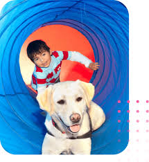 At occupational therapy profession has grown and expanded by the development of the medical field. Occupational Therapy Transdisciplinary Intervention Centre Oasis Place