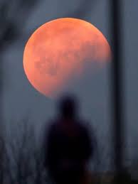 A rare partially eclipsed sun was visible on the morning of thursday june 10. La Mejor Hora Para Ver El Eclipse Total De Luna Desde Guatemala Mayo 2021