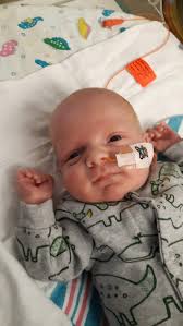 How old is Jace Norman when he starts dating 😍😍💔💖💔❣️