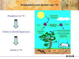 Und ich würde jetzt gerne mal wissen, was diese. Ppt C14 Altersbestimmung Powerpoint Presentation Free Download Id 4622527