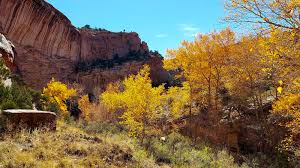 Echo Canyon Trail (Colorado National Monument) (U.S. National Park Service)