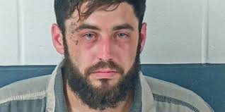 Bloomington man detained following alleged domestic battery and attempted  residential entry in Bedford