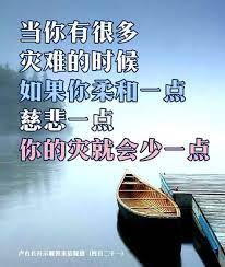 pin by 张小瑞on 问答 开示in 2020