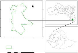 Image result for Monothecium glandulosum