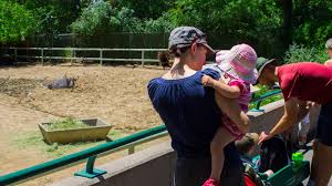 We're excited to welcome you to our park and with even more safety measures in place, our guests are. 10 Best Things To Do In Denver With Kids Mommy Nearest