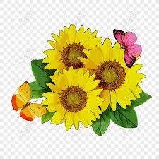 Flower floral design desktop wallpaper download vektor bunga png free transparent clipart clipartkey. Gambar Kupu Kupu Dan Bunga Matahari
