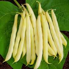 Vente De Graines De Haricots