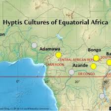 Image result for Cantinoa americana