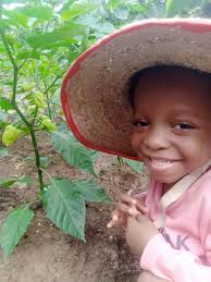 Habanero Pepper Farming and Plant Care