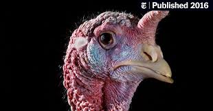 There are 15 different strains of the virus. The Looming Threat Of Avian Flu The New York Times