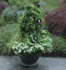 Shop a wide selection of tall outdoor round planters in a variety of colors, materials and styles to fit your home. 10 Plants For Year Round Containers Finegardening