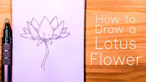 This is a gorgeous aquatic plant mainly pink and white in color. How To Draw A Lotus Step By Step Jeyram Art