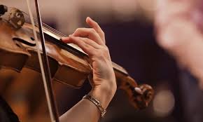 The best violin brands are usually those from major manufacturers of musical instruments, including yamaha, glaesal, hofner and more. 7 Best Intermediate Violins Of 2021 Intermediate Violin Brands Reviews
