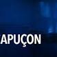 Pittsburgh Symphony Orchestra PSO360: Gautier Capucon