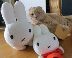 miffy xl lamp from mr maria dutch design studio cute nijntje bunny light scottish fold cat la carmina blog alternative fashion goth travel subcultures cat scottish fold miffy miffy lamp