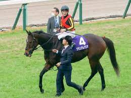 その他アイコン more menu icon をタップすると、モバイル ウェブサイトで 設定 にアクセスしたり、ヘルプを表示したり、フィードバックを送信したりできます。 ドライブ ファイルの共有設定では、google サイトのプロジェクト ファイルの共有方法を定義します。 Sf8hat8iv9enzm