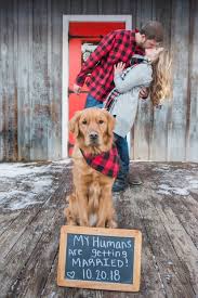 We did not find results for: 7 Pet Photography Tips For Better Photos Of Four Legged Family