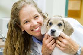 Homeward Bound Animal Hospital • Arvada • Fresh Chalk