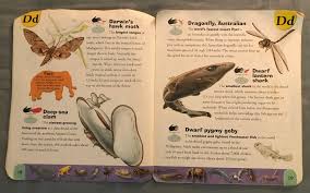 A student approached me and asked me if there is any book that gives the local names of philippine fishes, particularly in the visayas regions. Dwarf Pygmy Goby The Parody Wiki Fandom